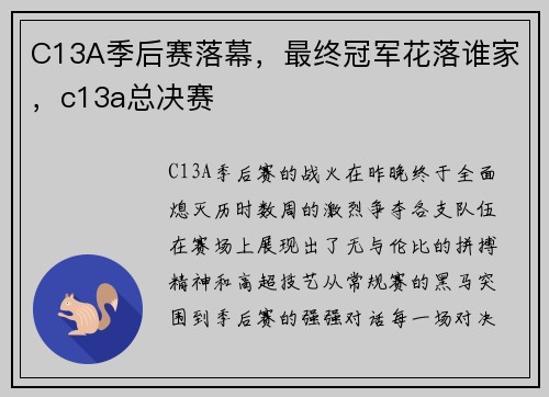 C13A季后赛落幕，最终冠军花落谁家，c13a总决赛