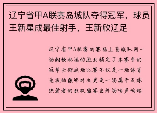 辽宁省甲A联赛岛城队夺得冠军，球员王新星成最佳射手，王新欣辽足