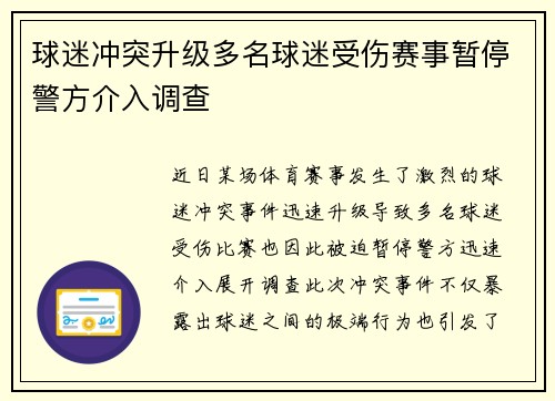 球迷冲突升级多名球迷受伤赛事暂停警方介入调查